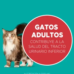 PURINA® ONE® Adulto Pollo y Salmón 2kg