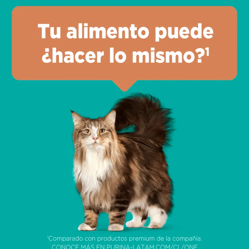 PURINA® ONE® Adulto Pollo y Salmón 6kg