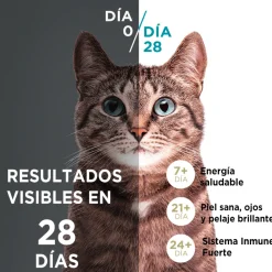 PURINA® ONE® Adulto Pollo y Carne 2kg
