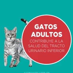 PURINA® ONE® Adulto Pollo y Carne 2kg
