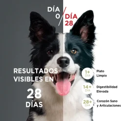 PURINA® ONE® Cachorro Pollo y Carne 6kg