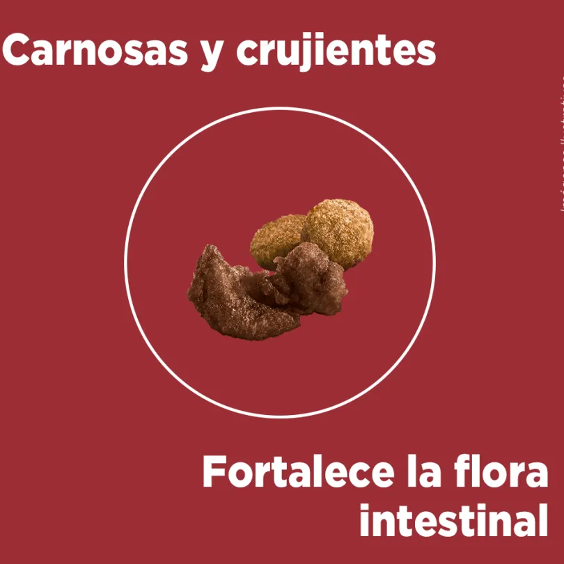 PURINA® ONE® Cachorro Pollo y Carne 6kg