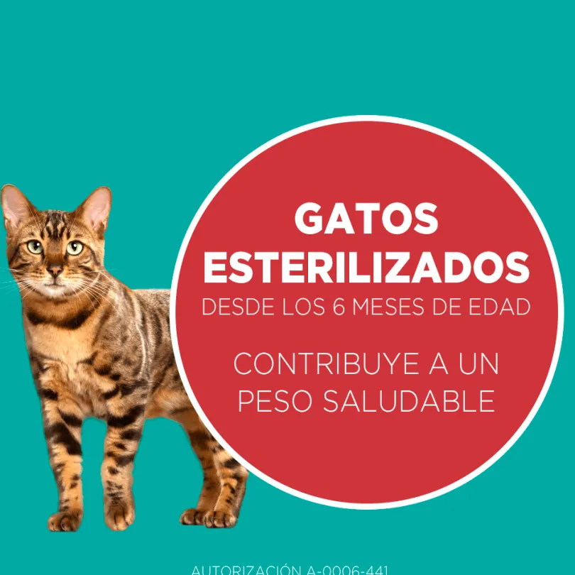 PURINA® ONE® Esterilizado Pollo y Salmón 2kg