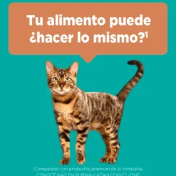 PURINA® ONE® Esterilizado Pollo y Salmón 6kg