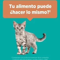 PURINA® ONE® Gatito Pollo y Carne 2kg
