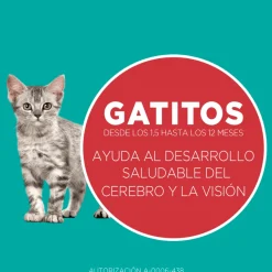 PURINA® ONE® Gatito Pollo y Carne 2kg