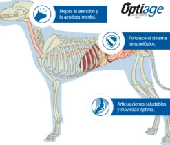 Purina Pro Plan Active Mind 7+ Medium and Large con OptiAge 15kg