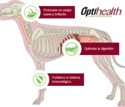 Purina Pro Plan Adult Razas Medianas con OptiLife 3kg