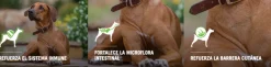 Purina Pro Plan Adult Razas Medianas con OptiLife 3kg