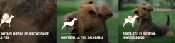 Purina Pro Plan Adult Sensitive Skin Cordero con OptiDerma 3kg