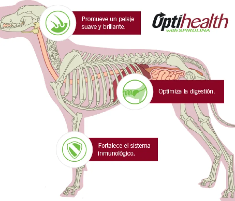 Purina Pro Plan Adult Small con OptiLife 3kg