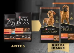 Purina PRO PLAN Adulto Rz Mediana y Grande Sensitive Skin 3kg