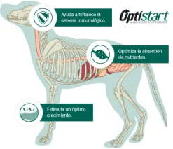 Purina PRO PLAN Cachorro Raza Mediana 1kg