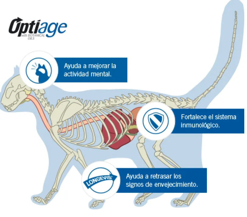 Purina Pro Plan Cat Adult +7 con OptiAge 3kg