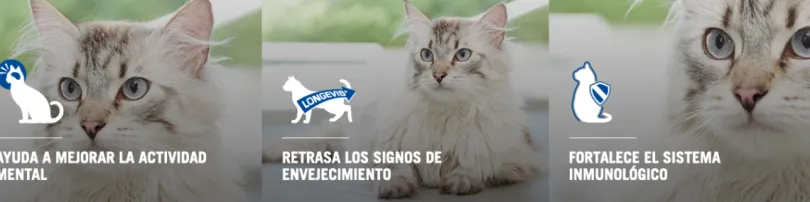 Purina Pro Plan Cat Adult +7 con OptiAge 3kg
