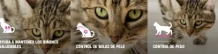 Purina Pro Plan Cat Sterilized con OptiRenal 3kg
