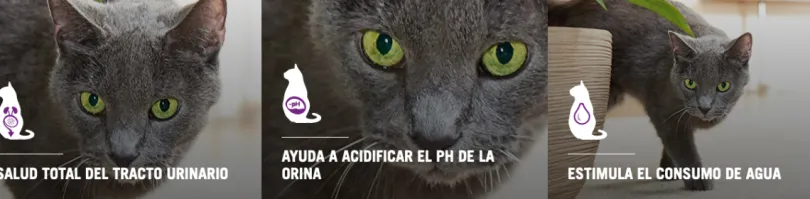 Purina Pro Plan Cat Urinary con OptiTract 1kg