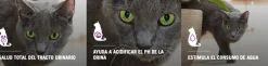 Purina Pro Plan Cat Urinary con OptiTract 7.5kg