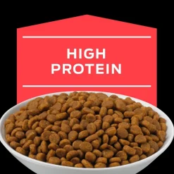 Purina Pro Plan DM Diabetes Felino 1.5kg