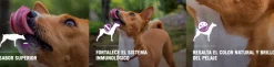 Purina Pro Plan Exigent Small con OptiEnrich 7.5kg