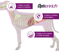 Purina Pro Plan Exigent Small con OptiEnrich 3kg