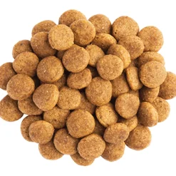 Purina Pro Plan NC Neuro Care Canino 2kg