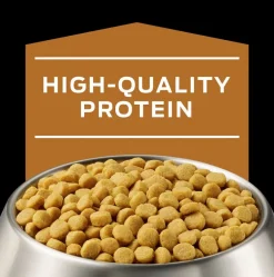 Purina Pro Plan NF Kidney Function Canino 2kg