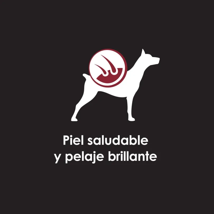 Purina Pro Plan Perro Adulto Lata 368.5gr
