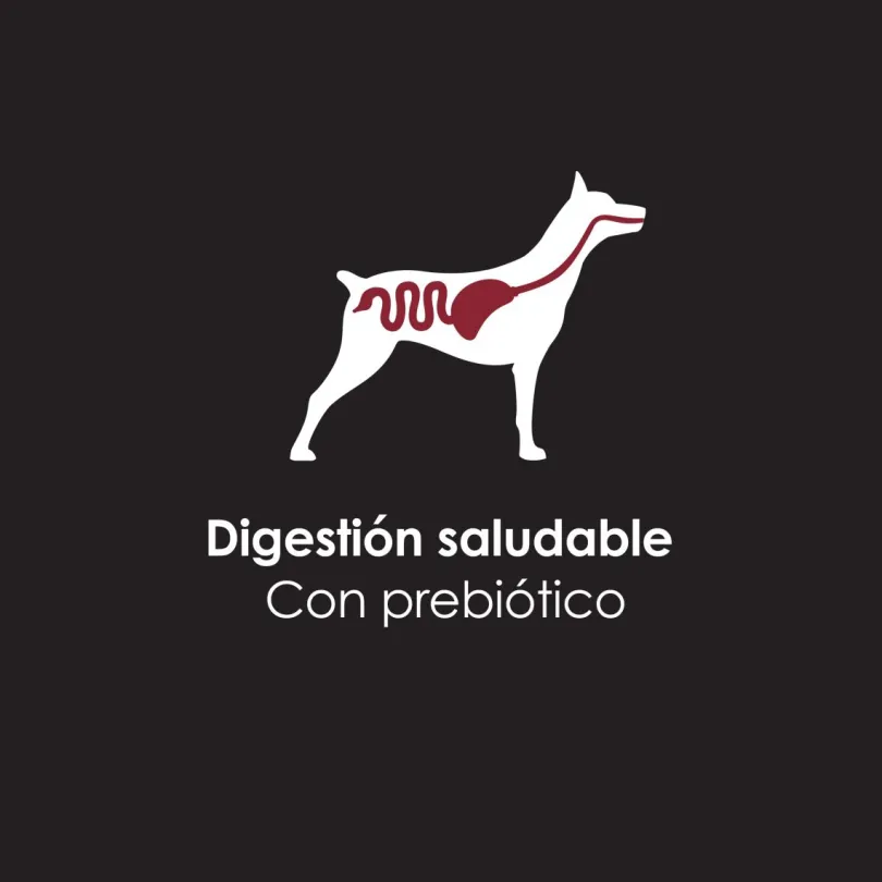 Purina Pro Plan Perro Adulto Lata 368.5gr Pack 5 unidades