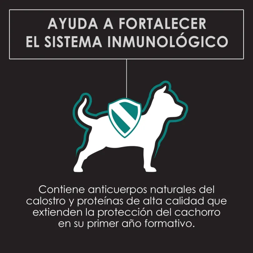 Purina Pro Plan Puppy Large con OptiStar 15kg