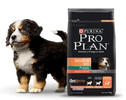 Purina Pro Plan Puppy Sensitive Skin Cordero con OptiDerma 3kg