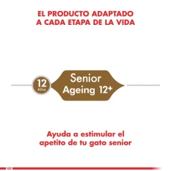 Royal Canin Ageing 12+ años 2kg