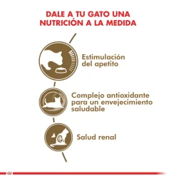 Royal Canin Ageing 12+ años 2kg