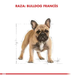 Royal Canin Bulldog Frances Adulto 7.5kg