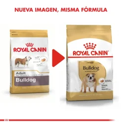 Royal Canin Bulldog Ingles Adulto 12kg