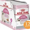 Royal Canin Cat Kitten Pouch 85gr X 12 unidades