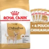 Royal Canin Chihuahua Adulto 1KG + 4 Royal Canin Chihuahua Adulto Pouch 85gr