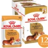 Royal Canin Dachshund Pouch 85gr x 12 unidades
