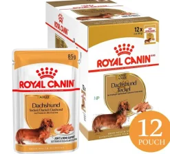Royal Canin Dachshund Pouch 85gr x 12 unidades