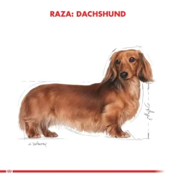 Royal Canin Dachshund Teckel 2.5kg