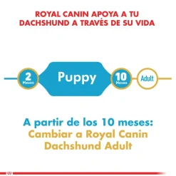 Royal Canin Dachshund Teckel Junior 3kg