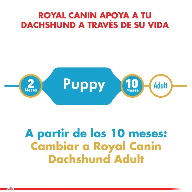 Royal Canin Dachshund Teckel Junior 3kg