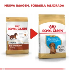 Royal Canin Dachshund Teckel Junior 3kg