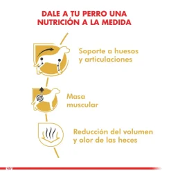 Royal Canin Dachshund Teckel 3kg