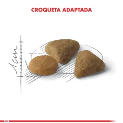 Royal Canin Exigent 1.5kg
