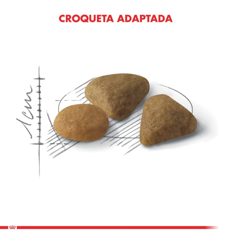 Royal Canin Exigent 1.5kg