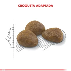 Royal Canin Gato Active 7+ 1.5kg