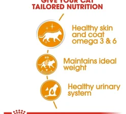 Royal Canin Gato Adulto Hair & Skin (Intense Beauty) Pouch 85gr x 12 unidades