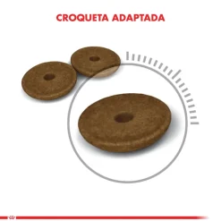 Royal Canin Gato Digestive 1.5kg