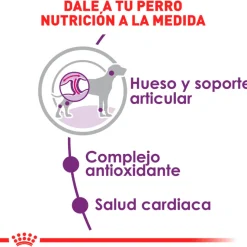 Royal Canin Giant Adulto 15kg